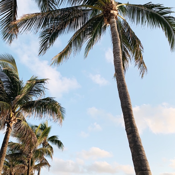 Meet your Posher, Isabella - Picture 1 of 1